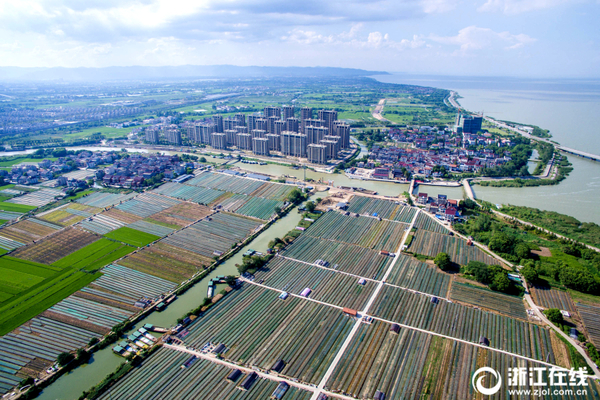 1121560838_15039713431791n 1121560838_15039713431791n