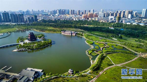 1123233687_15336079745581n 1123233687_15336079745581n