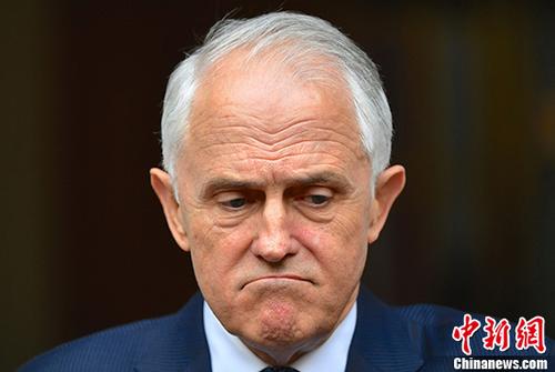 澳大利亚总理特恩布尔。（资料图）