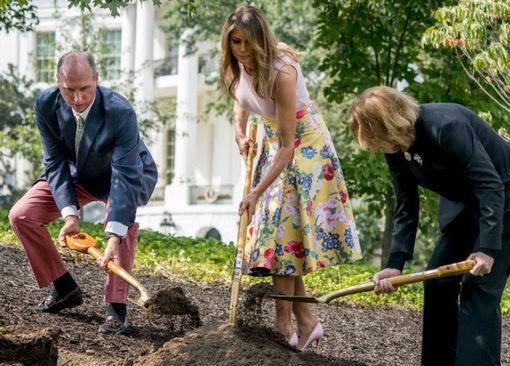 梅拉尼娅参加植树活动(图源:美联社)