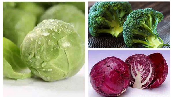 MAIN201809040900119630757914438 MAIN201809040900119630757914438