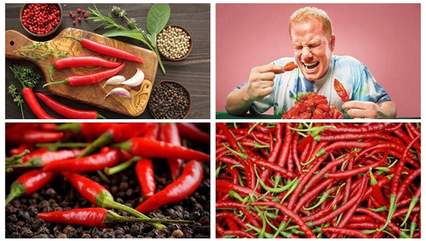 MAIN201809040917145014060769234 MAIN201809040917145014060769234