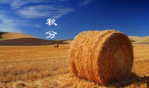 QQ截图20180905084458 QQ截图20180905084458