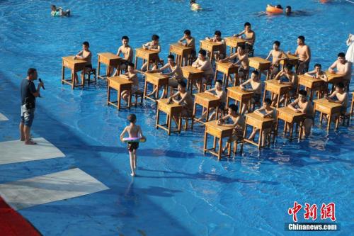 8777832648299659874 8777832648299659874