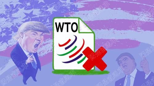 国是直通车 侯雨彤制图 点击进入下一页