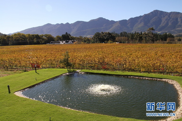 a262d858-e607-475c-a28e-a18fc850a578_size129_w600_h400 a262d858-e607-475c-a28e-a18fc850a578_size129_w600_h400