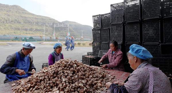 微信图片_20180905151223 微信图片_20180905151223