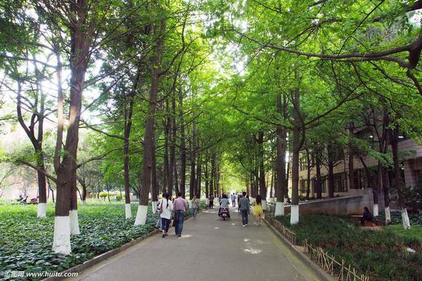 大学校园 大学校园