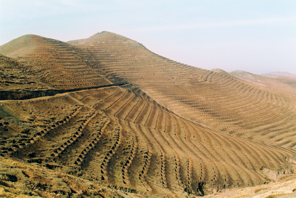 1372736100454 1372736100454