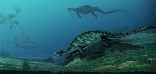 点击进入下一页