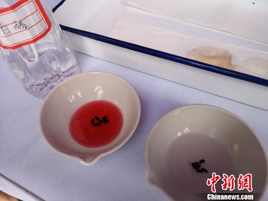 图为两江新区2018年“全国质量月”活动现场，工作人员教民众用白醋检测黑米真假。左边液体颜色变红的是真黑米，右边没什么变化的是假黑米?！×跸?摄