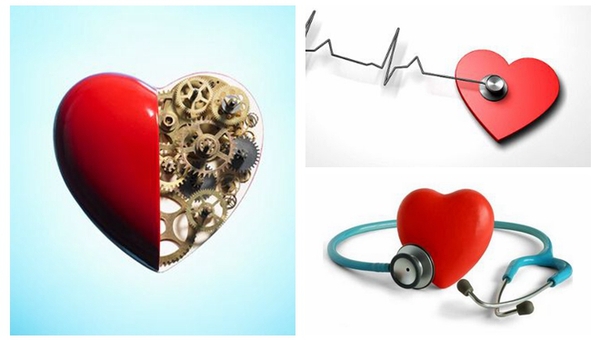 MAIN201809130959487683255750683 MAIN201809130959487683255750683