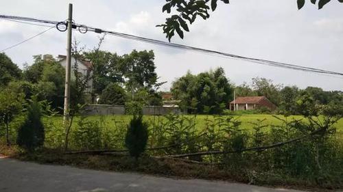 11年前采访的女孩出嫁 记者如父亲般把她交给新郎