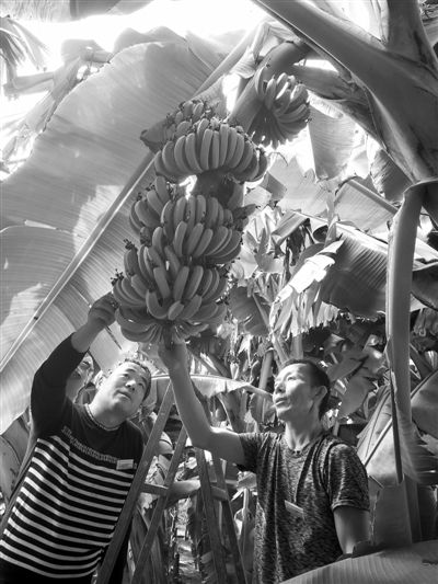 12020955017793002782 12020955017793002782