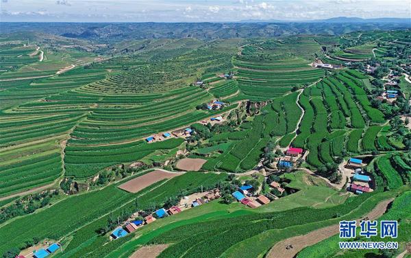 129926916_15334709557531n 129926916_15334709557531n