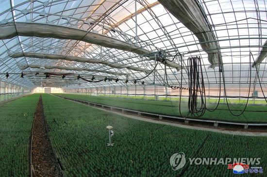 1537401612344049.jpg PYH2018072401620001300_P4.jpg