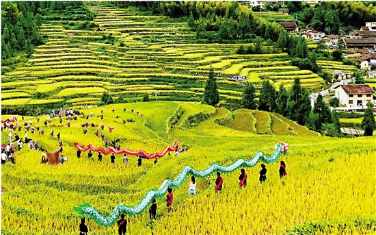 1123459503_15374160833791n (1) 1123459503_15374160833791n (1)