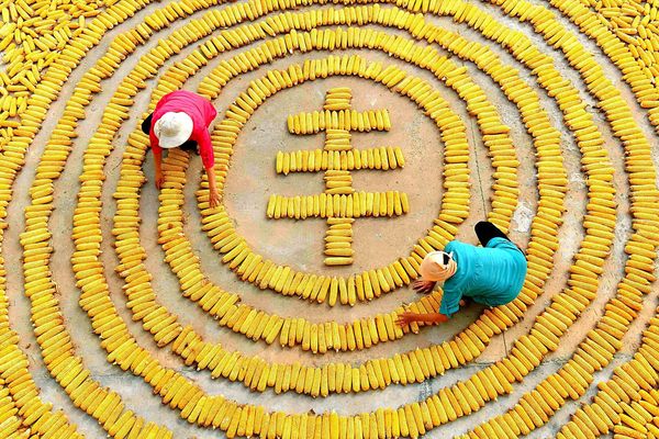 1537614773917513.jpg 微信图片_20180922192047.jpg