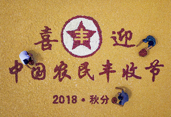 1123473351_15376930386431n 1123473351_15376930386431n