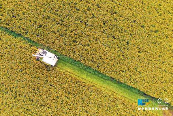 1b948168a5a806248b3ab1e59b1b64d0 1b948168a5a806248b3ab1e59b1b64d0