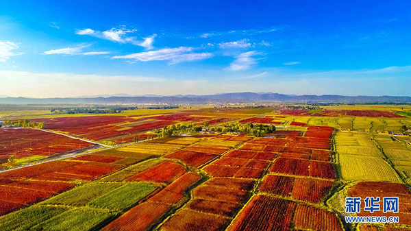 1123469150_15375802835541n 1123469150_15375802835541n