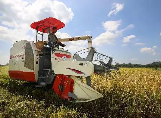 媒体:农村土地市场再放开些 也乱不起来