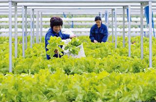 我国农业科技进步贡献率