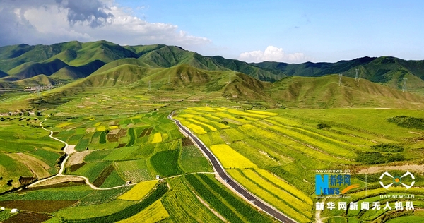 1123170437_15324198065521n 1123170437_15324198065521n