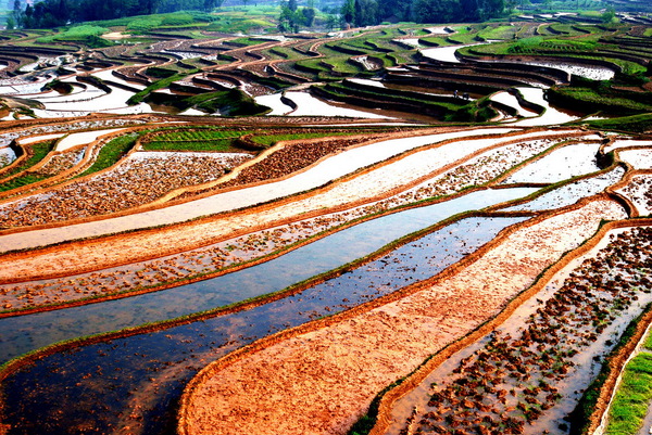 14C35S6455520-2M13 14C35S6455520-2M13