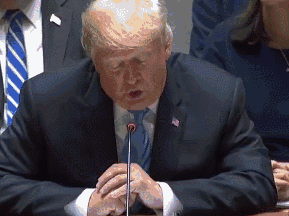 1538091583255273.gif 5.gif