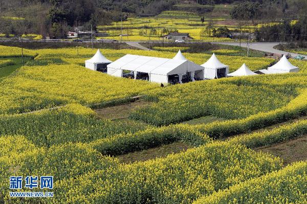 W020140315431223602389 W020140315431223602389