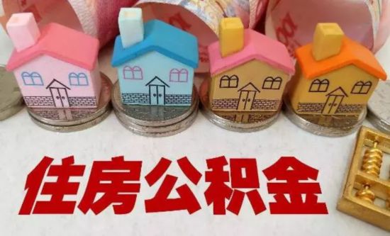 17428151528961830458 17428151528961830458