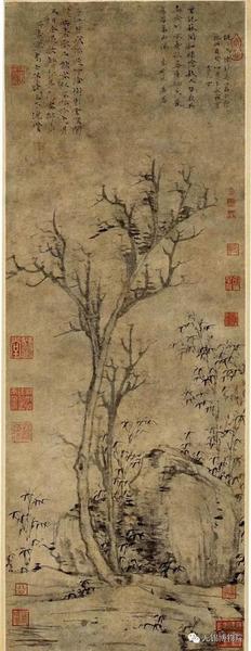 元 倪瓒 《苔痕树影图》 无锡博物馆藏