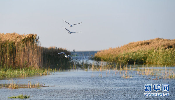 1119575170_14741600163241n 1119575170_14741600163241n