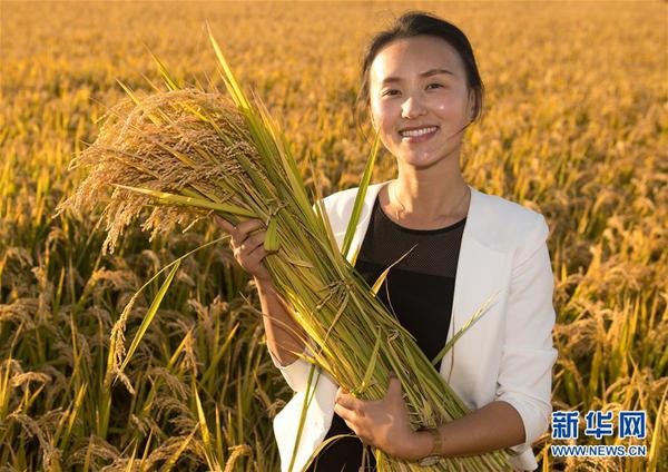 1123530512_15390047906971n 1123530512_15390047906971n