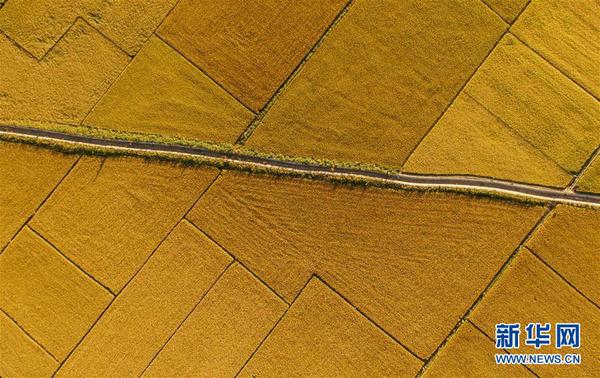 1123530512_15390047907531n 1123530512_15390047907531n