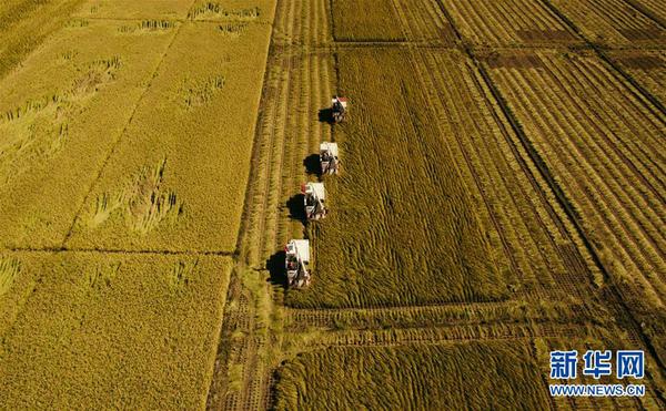 1123530512_15390047908471n 1123530512_15390047908471n