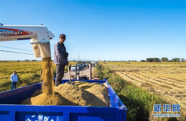 1123530512_15390047908971n 1123530512_15390047908971n