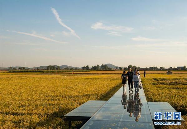 1123530512_15390047909401n 1123530512_15390047909401n