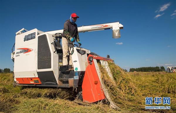 1123530512_15390047909821n 1123530512_15390047909821n