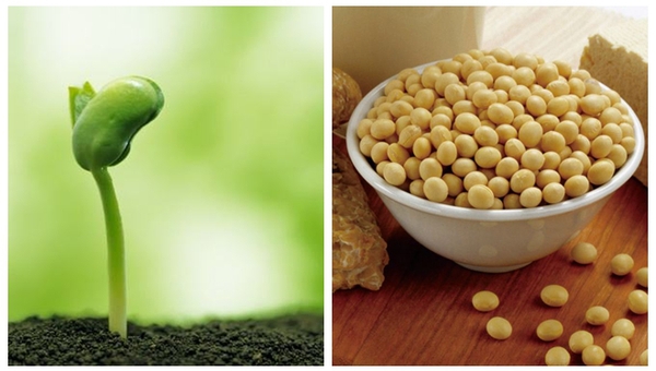 MAIN201810090916214467182162288 MAIN201810090916214467182162288