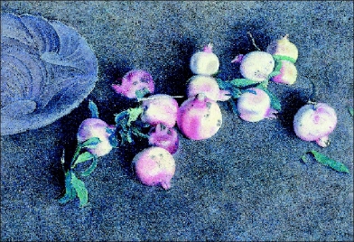 石榴之一(油画)2014年  王羽天  作