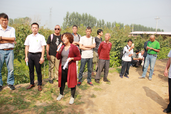 5在第二期文玩核桃（麻核桃）新技术推广及产业发展培训班上，林业高级工程师王士玲涞水基地现场授课
