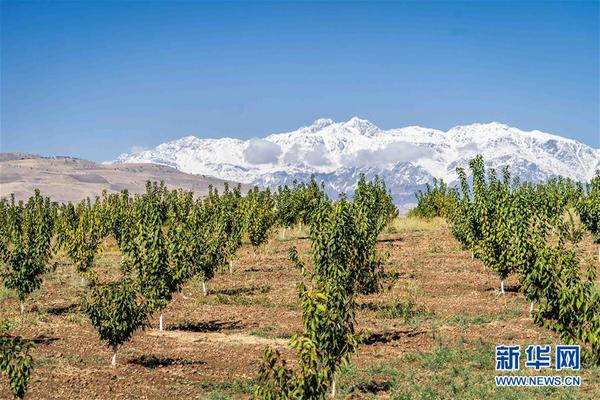 1123556290_15394996824681n 1123556290_15394996824681n