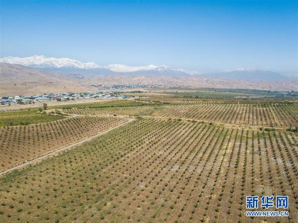 1123556290_15394996824161n 1123556290_15394996824161n