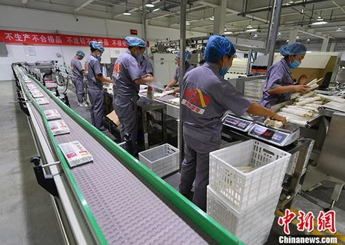 资料图。 <a target='_blank' href='http://www.chinanews.com/'>中新社</a>记者 刘新 摄