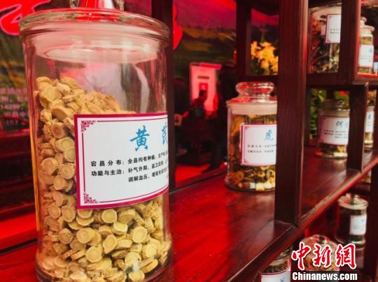 图为活动期间展出的甘肃陇南市中药材。　闫姣 摄