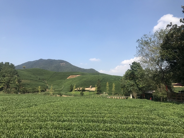 微信图片_20181016133516 微信图片_20181016133516