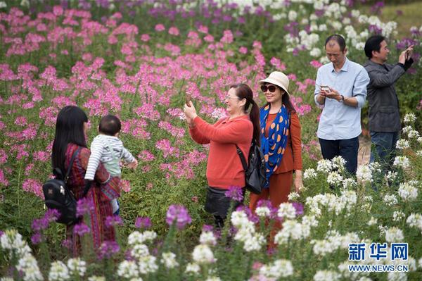 1123567670_15397009396981n 1123567670_15397009396981n