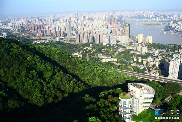 129521030_14907556082281n 129521030_14907556082281n